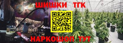 гашик Тверь