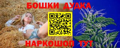 гашик Тверь