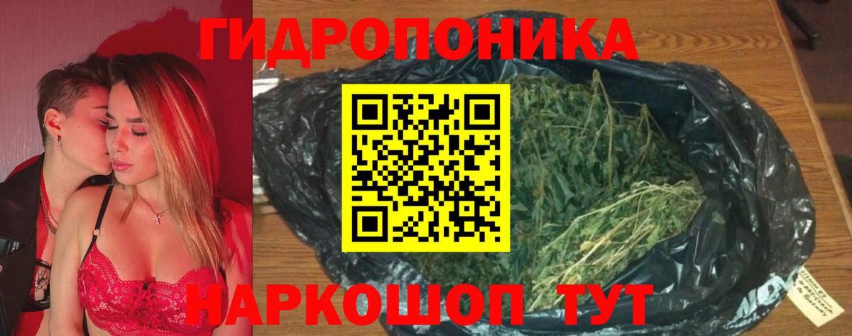 Каннабис сатива  Вход с VPN  МАРИХУАНА семена  Волгодонск  Марихуана план 